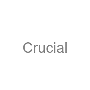 Crucial logo