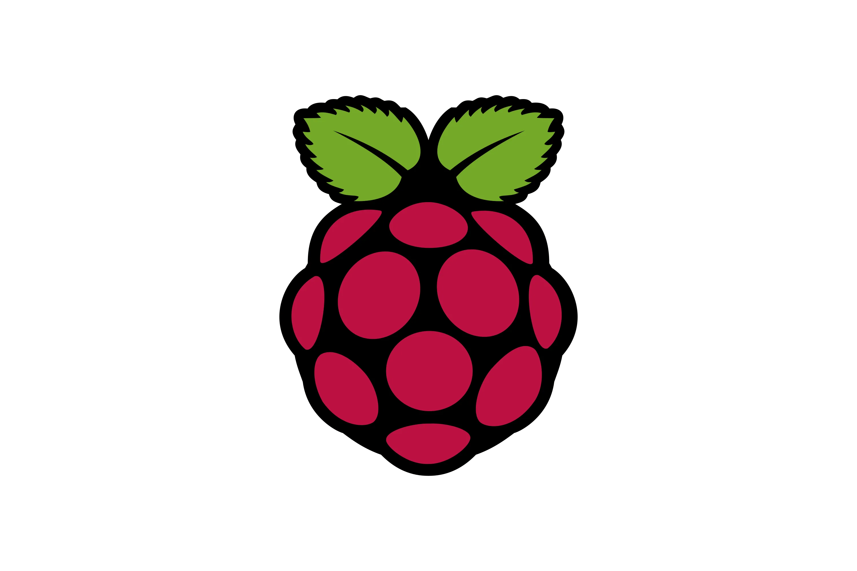 Raspberry Pi logo