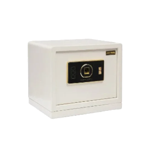 CP-06 Digital Security Locker